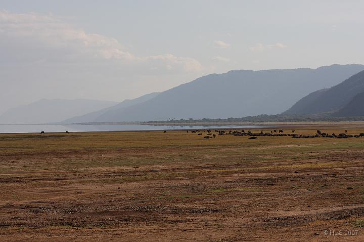 Tanzania_0233.JPG - Lake Manyara Nationalpark - im Hintergrund Rift Valley Abbruchkante