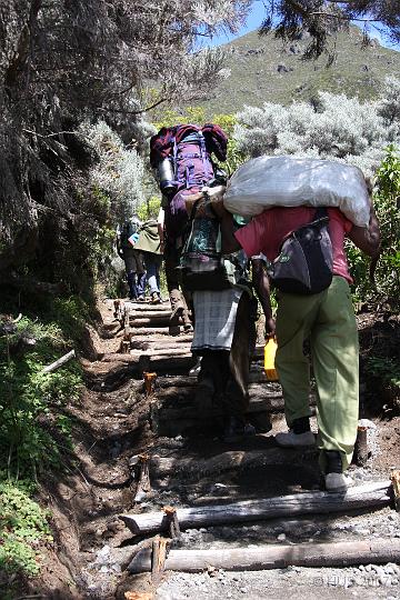 Tanzania_0098.JPG - Aufstieg zur Saddle Hut