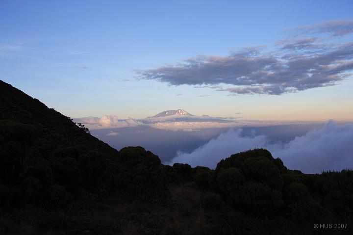 Tanzania_0114.JPG - Kili im Abendlicht von Saddle Hut (3500 m)